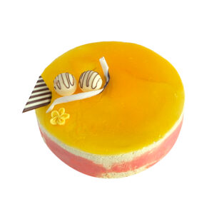 Mango Mousse Cake